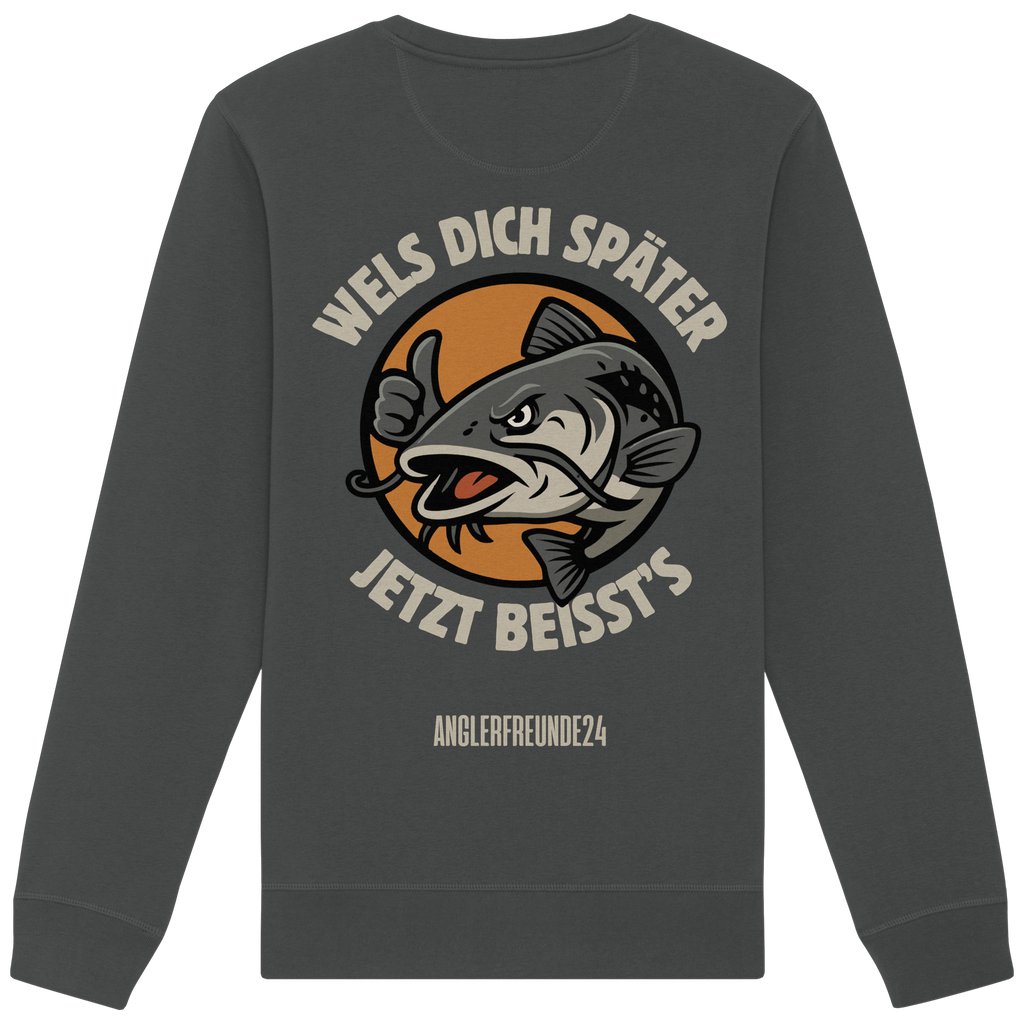 Wels Dich Später - Premium Sweatshirt